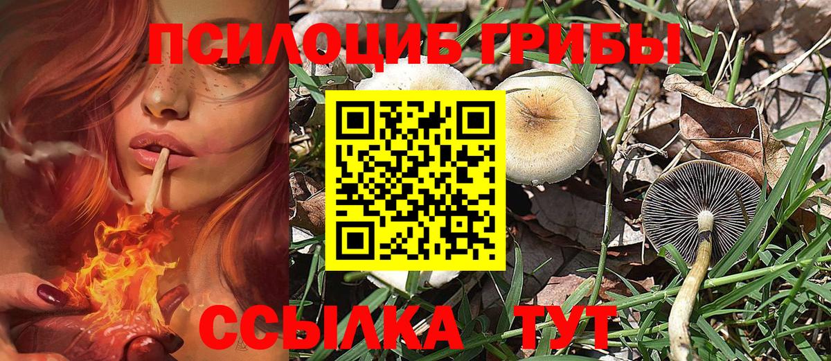 Псилоцибиновые грибы MAGIC MUSHROOMS  где купить наркоту  Вход с VPN  Грязи  Галлюциногенные грибы Magic Shrooms 